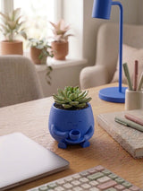 Kahve İçen Sevimli Figürlü Mini Sukulent ve Kaktüs Saksısı 8x6 cm Masaüstü Ofis Dekorasyonu