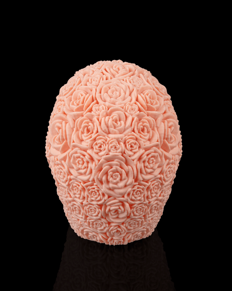Rosa Mortem Biblo
