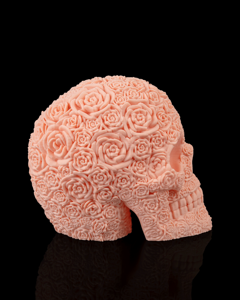 Rosa Mortem Biblo
